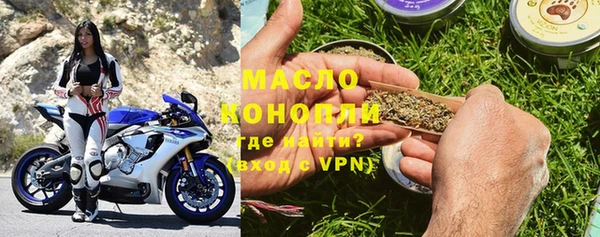шишки Абаза