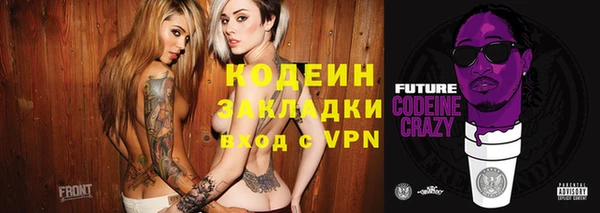 шишки Абаза