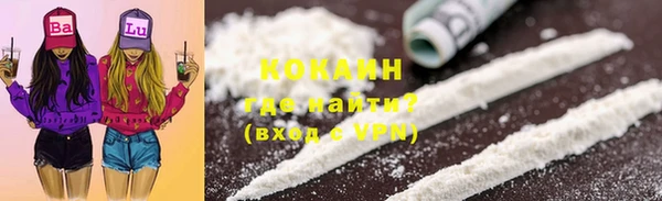 шишки Абаза