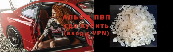 шишки Абаза