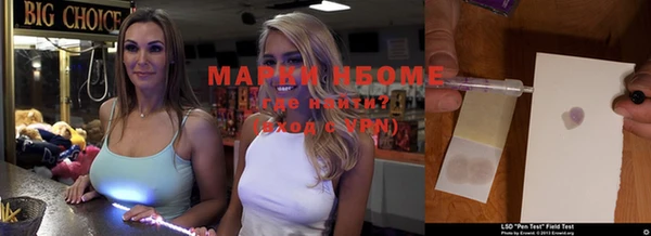 шишки Абаза