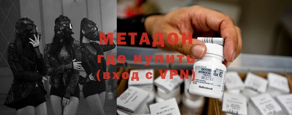 шишки Абаза