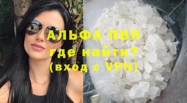 шишки Абаза