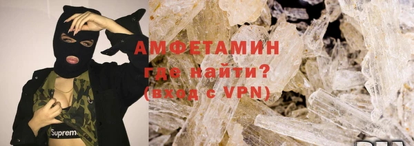 шишки Абаза
