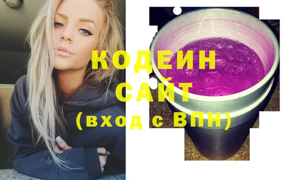 шишки Абаза